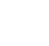 zalo button